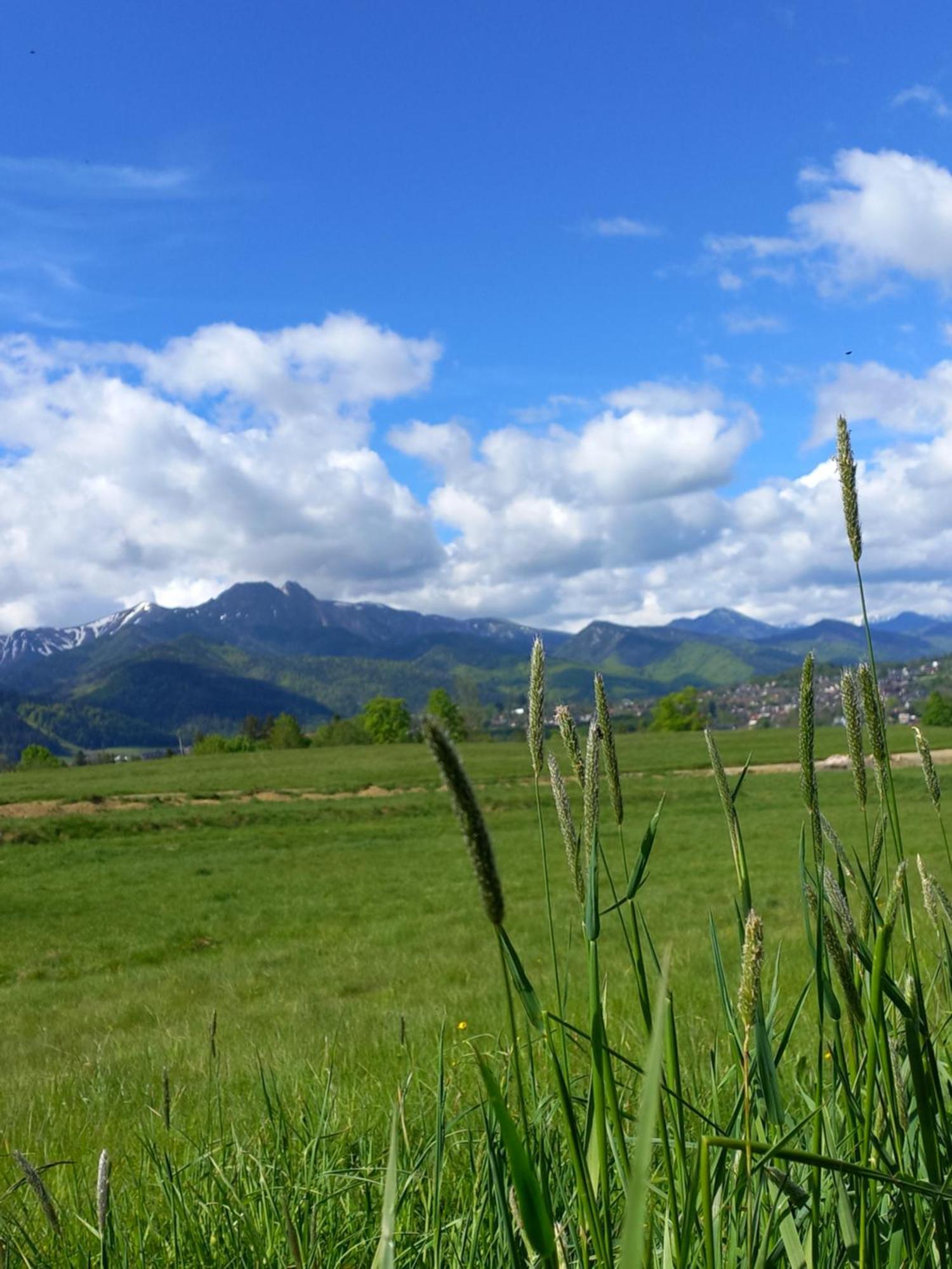 Domki Na Gawlakach Zakopane Oda fotoğraf